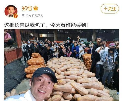 卖南瓜吃瓜群众,吃瓜群众乐翻天