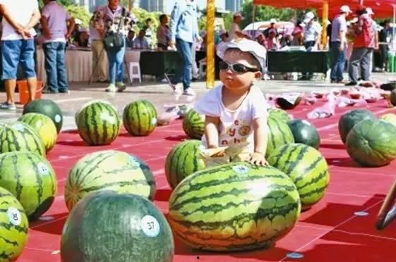 河南吃瓜爆料男孩