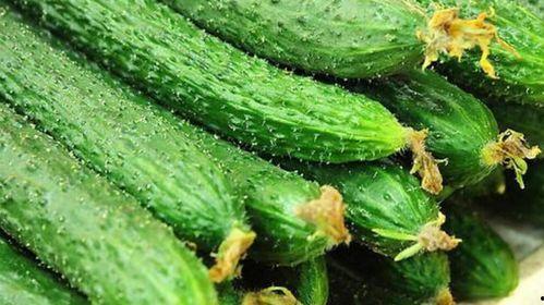 缺水吃啥瓜,探索解渴美食之旅