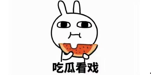 请员工吃瓜文案,员工福利活动精彩回顾