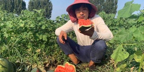 小盼吃瓜,揭秘娱乐圈那些不为人知的幕后故事