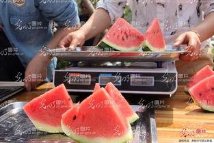 吃瓜比赛选手风采,选手风采竞艳吃瓜大赛