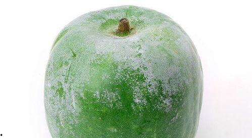 立吞吃瓜,揭秘娱乐圈的“瓜田”奇观