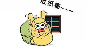 吃瓜群众小编,吃瓜群众视角下的明星幕后故事