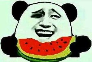 吃瓜群众小编,吃瓜群众视角下的明星幕后故事