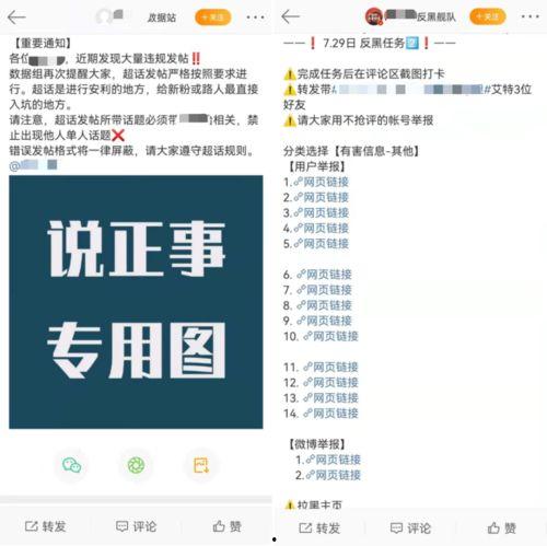 吃瓜营销号合作,揭秘吃瓜营销号背后的合作奥秘