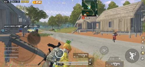 麻瓜龙吃鸡图片,一场别开生面的吃鸡盛宴