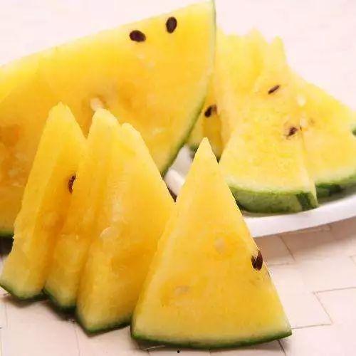 金丝搅瓜的嫩瓜可以吃吗,美味可口的天然美食