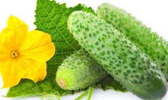 吃瓜吃瓜吃瓜吃瓜循环,吃瓜群众的趣味循环之旅