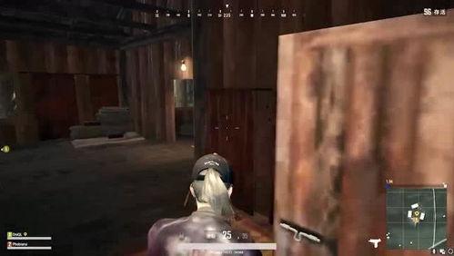 吃瓜被反杀,一场意外的正义之战