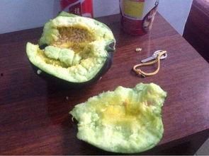 有的瓜吃皮有的瓜吃瓤