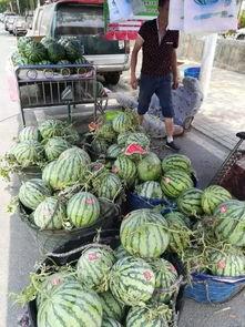 海门吃瓜事件,一场网络狂欢背后的真相与反思