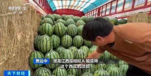 吃瓜看什么平台,看瓜平台大比拼