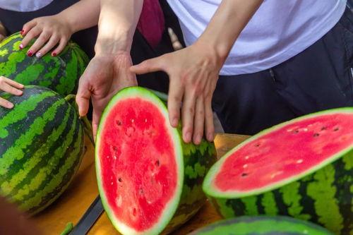 河南某学院吃瓜,揭秘校园内幕，真相大白！  第1张