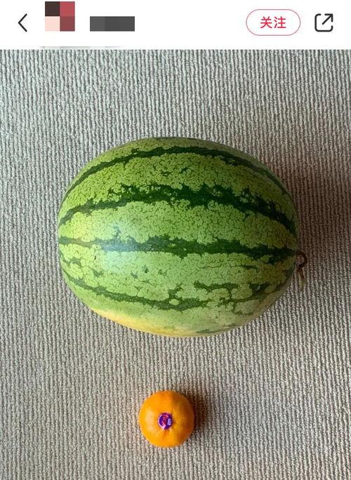 印度哪里吃瓜最多,揭秘瓜类消费最多的地区  第3张