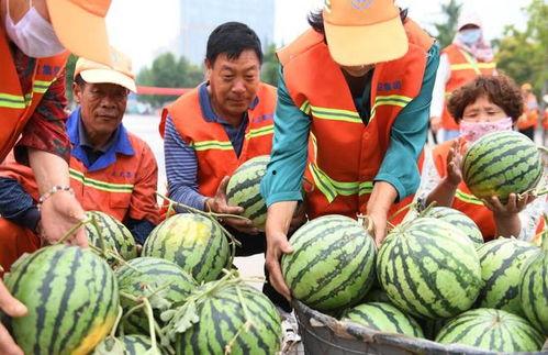 吃瓜工人  第2张