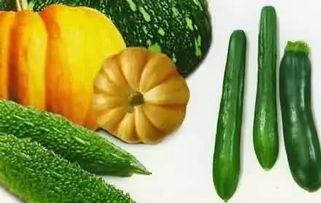 高贵的吃瓜  第3张