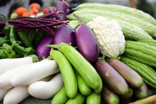 梦见摘瓜和蔬菜吃瓜,摘瓜与蔬菜吃瓜的奇妙寓意