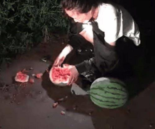 偷瓜被抓吃瓜违法吗  第2张