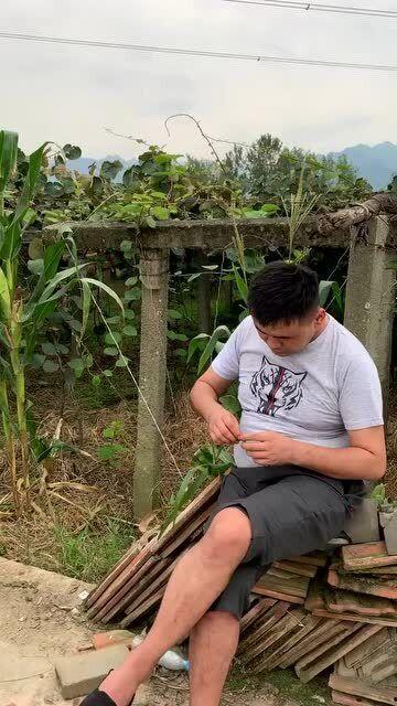 偷瓜被抓吃瓜违法吗  第3张