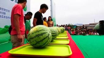 梦见跑着吃瓜  第2张