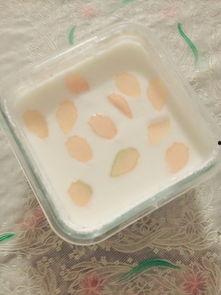 蜜瓜酸奶怎么吃,夏日清新口感新体验
